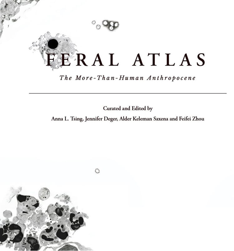 Anna L. Tsing, Jennifer Deger, Alder Keleman Saxena, and Feifei Zhou’s Feral Atlas: The More-Than-Human Anthropocene